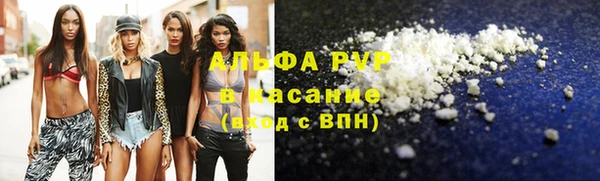 спиды Тавда